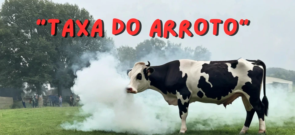 taxa-arroto